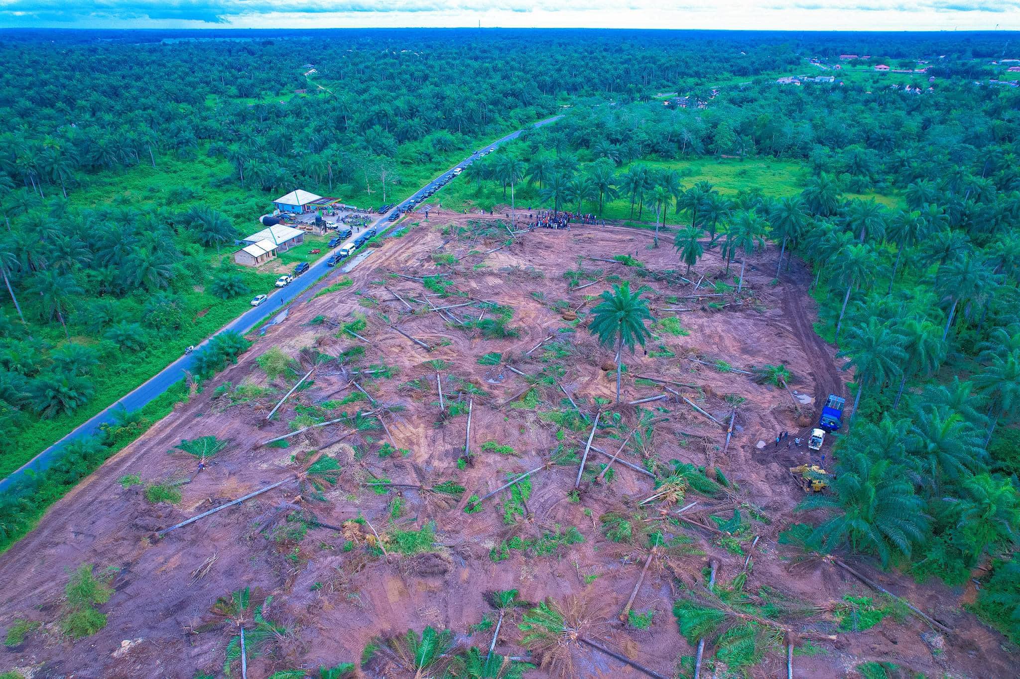 Ibom Model Farm