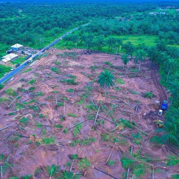 Ibom Model Farm