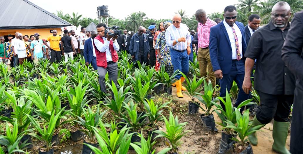 Dakkada Global Oil Palm Ltd